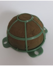 Turtle midi